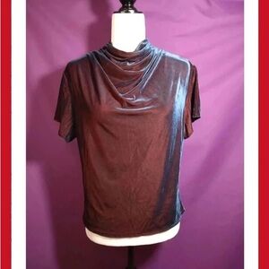 Elegant Velvet Women's Top